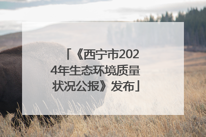 《西宁市2024年生态环境质量状况公报》发布