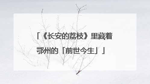 《长安的荔枝》里藏着鄂州的「前世今生」