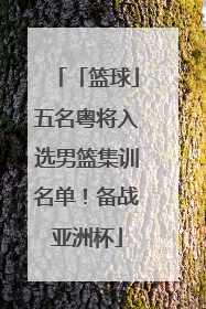 「篮球」五名粤将入选男篮集训名单！备战亚洲杯