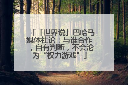 「世界说」巴哈马媒体社论：与谁合作，自有判断，不会沦为“权力游戏”