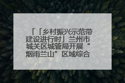 「乡村振兴示范带建设进行时」兰州市城关区城管局开展“烟雨兰山”区域综合整治专项行动