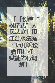 「创建“枫桥式”人民法庭」印江合水法庭：巧用诉讼费用杠杆 赋能先行调解