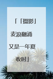 「摄影」麦浪翻涌 又是一年夏收时