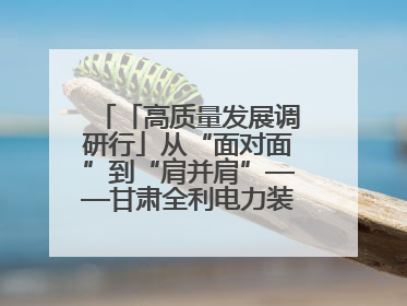 「高质量发展调研行」从“面对面”到“肩并肩”——甘肃全利电力装备生产制造项目一线见闻