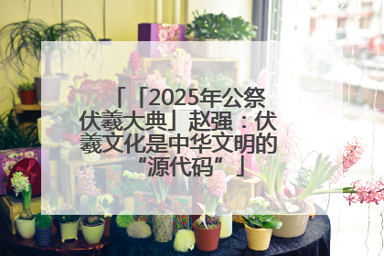 「2025年公祭伏羲大典」赵强：伏羲文化是中华文明的“源代码”