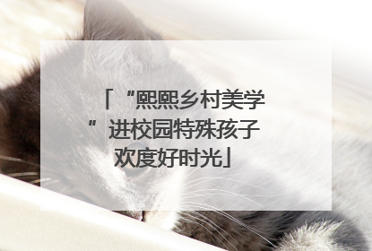 “熙熙乡村美学”进校园特殊孩子欢度好时光