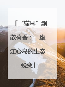 “猫耳”飘散荷香：一座江心岛的生态蜕变