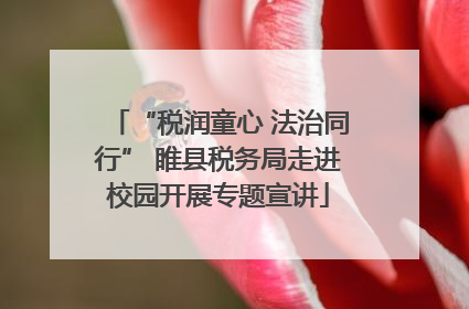 “税润童心 法治同行” 睢县税务局走进校园开展专题宣讲