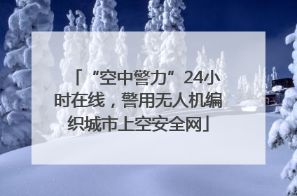 “空中警力”24小时在线，警用无人机编织城市上空安全网