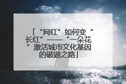 “网红”如何变“长红”——“一朵花”激活城市文化基因的破题之路