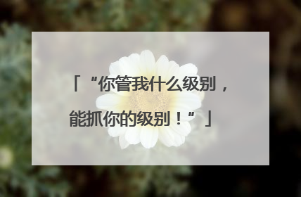 “你管我什么级别，能抓你的级别！”