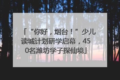 “你好，烟台！”少儿读城计划研学启幕，450名潍坊学子探仙境