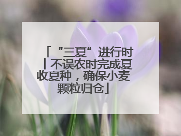 “三夏”进行时丨不误农时完成夏收夏种，确保小麦颗粒归仓