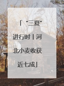 “三夏”进行时丨河北小麦收获近七成
