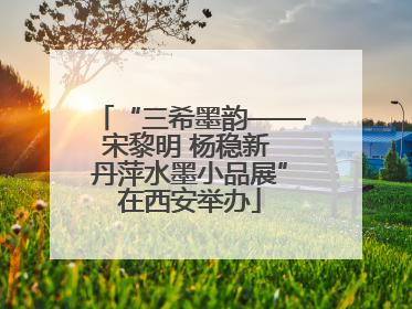“三希墨韵——宋黎明 杨稳新 丹萍水墨小品展”在西安举办