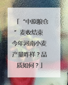 “中原粮仓”麦收结束 今年河南小麦产量咋样？品质如何？