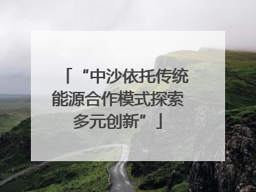 “中沙依托传统能源合作模式探索多元创新”