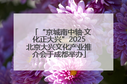 “京城南中轴·文化正大兴”2025北京大兴文化产业推介会于成都举办