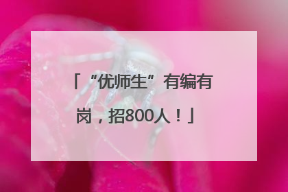 “优师生”有编有岗，招800人！