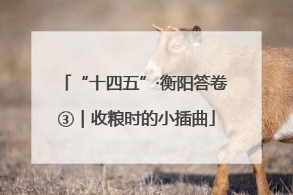 “十四五”·衡阳答卷③｜收粮时的小插曲