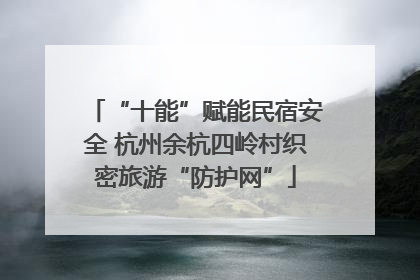 “十能”赋能民宿安全 杭州余杭四岭村织密旅游“防护网”