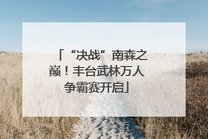 “决战”南森之巅！丰台武林万人争霸赛开启