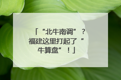 “北牛南调”？福建这里打起了“牛算盘”！