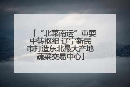 “北菜南运”重要中转枢纽 辽宁新民市打造东北最大产地蔬菜交易中心