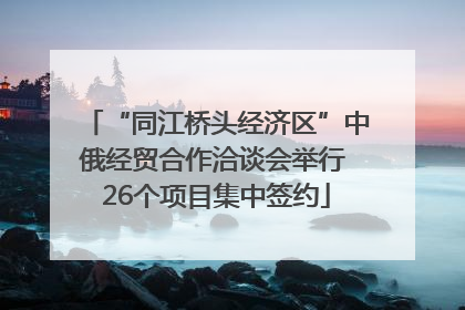 “同江桥头经济区”中俄经贸合作洽谈会举行 26个项目集中签约