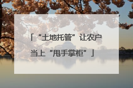 “土地托管”让农户当上“甩手掌柜”