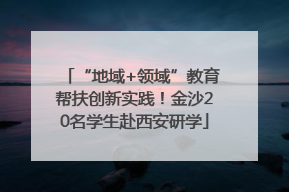 “地域+领域”教育帮扶创新实践！金沙20名学生赴西安研学