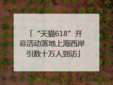 “天猫618”开幕活动落地上海西岸 引数十万人到访