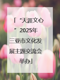 “天涯文心”2025年三亚市文化发展主题交流会举办