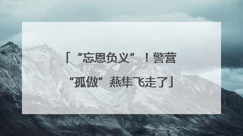 “忘恩负义”！警营“孤傲”燕隼飞走了