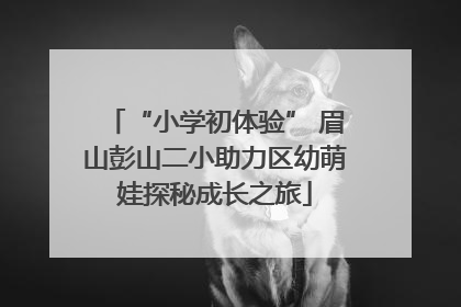“小学初体验” 眉山彭山二小助力区幼萌娃探秘成长之旅