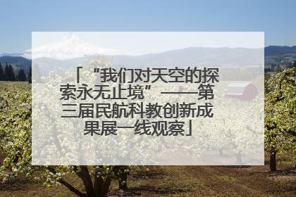 “我们对天空的探索永无止境”——第三届民航科教创新成果展一线观察