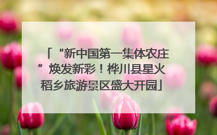 “新中国第一集体农庄”焕发新彩！桦川县星火稻乡旅游景区盛大开园