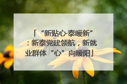 “新贴心·泰暖新”：新泰党建领航，新就业群体“心”向暖阳