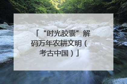 “时光胶囊”解码万年农耕文明（考古中国）