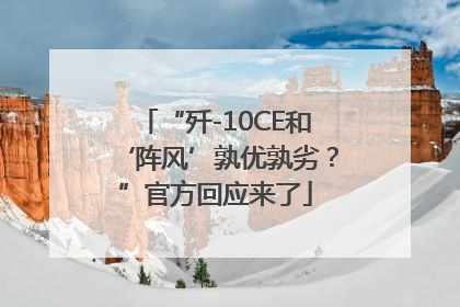 “歼-10CE和‘阵风’孰优孰劣？”官方回应来了