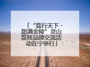“荔行天下・甜满金陵”灵山荔枝品牌交流活动在宁举行