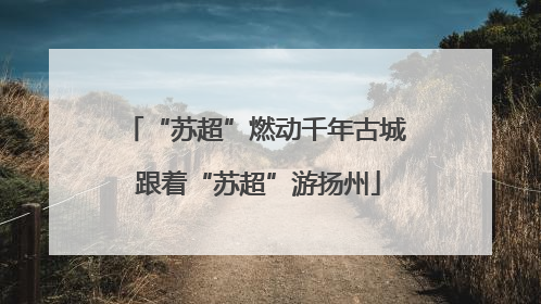 “苏超”燃动千年古城 跟着“苏超”游扬州