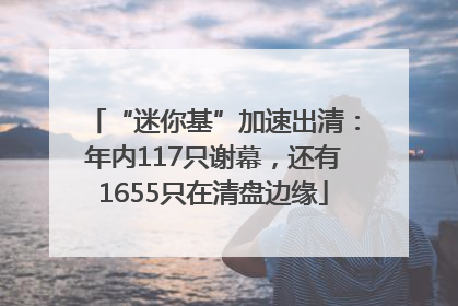 “迷你基”加速出清：年内117只谢幕，还有1655只在清盘边缘