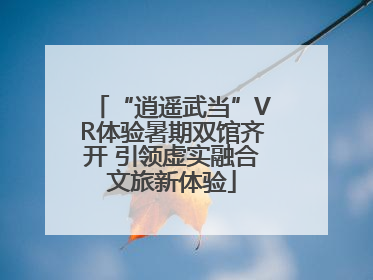 “逍遥武当”VR体验暑期双馆齐开 引领虚实融合文旅新体验