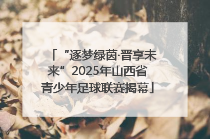 “逐梦绿茵·晋享未来”2025年山西省青少年足球联赛揭幕