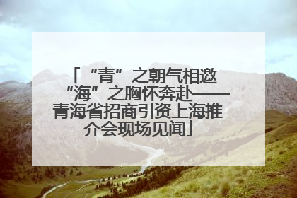 “青”之朝气相邀 “海”之胸怀奔赴——青海省招商引资上海推介会现场见闻