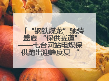 “钢铁煤龙”驰骋盛夏 “保供赛道”——七台河站电煤保供跑出迎峰度夏 “加速度”