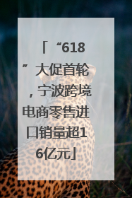 “618”大促首轮，宁波跨境电商零售进口销量超16亿元