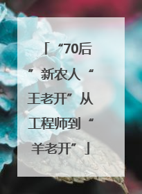 “70后”新农人“王老开”从工程师到“羊老开”