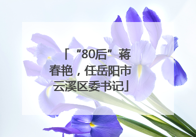 “80后”蒋春艳，任岳阳市云溪区委书记